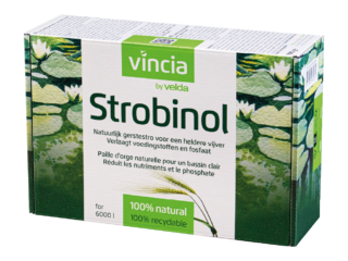 Vincia Strobinol